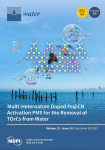 Water, vol. 15, n. 24 - December 2023 - Multi-heteroatom doped De@CN activation PMS for the removal of TOrCs from water