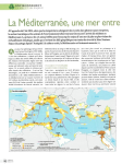 La Méditerranée, une mer entre surchauffe et biodiversité en danger