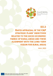 Rapid appraisal of the CAP strategic plans’ objectives related to the socio-economic fabric of rural areas and their alignment with the long-term vision for rural areas