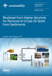 Sustainability, vol. 16, n. 19 - October 2024 - Biodiesel from higher alcohols for removal of crude oil spills from sediments