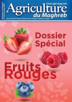 Agriculture du Maghreb, n. 163 - Novembre 2024