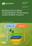 Agriculture, vol. 15, n. 3 - February 2025 - Modeling durum wheat cropping system performance: carbon & water footprint