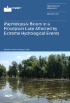 Water, vol. 17, n. 3 - February 2025 - Raphidiopsis bloom in a floodplain lake affected by extreme hydrological events