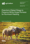 Agriculture, vol. 15, n. 9 - May 2025 - Potential of baled silage to preserve white grape pomace for ruminant feeding