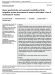 Water productivity and economic feasibility of drip irrigation system investment in tomato cultivation: case of northeastern Tunisia