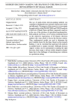Modern decision-making mechanism in the process of development of small farms