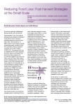 Reducing food loss: post-harvest strategies at the small scale