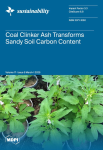 Sustainability, vol. 17, n. 5 - March 2025 - Coal clinker ash transforms sandy soil carbon content