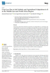 Crop Loss due to soil salinity and agricultural adaptations to it in the Middle East and North Africa Region