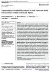 Agroecological sustainability analysis of small ruminants farms in the Saharan context of El Oued, Algeria