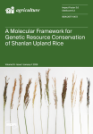 Agriculture, vol. 16, n. 1 - January 2026 - A molecular framework for genetic resource conservation of Shalan Upland rice