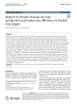 Impact of climate change on crop production and water-use efficiency in Rashid City, Egypt