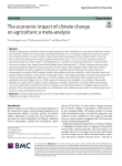 The economic impact of climate change on agriculture: a meta-analysis