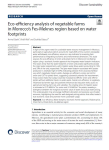 Eco-efficiency analysis of vegetable farms in Morocco's Fes-Meknes region based on water footprints
