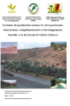 Systèmes de production oasiens et sylvopastoraux : interactions, complémentarités et développement durable : cas du bassin de Ghéris (Maroc)