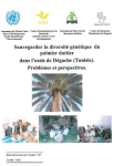 Sauvegarder la diversité génétique du palmier dattier dans l'oasis de Dégache (Tunisie). Problèmes et perspectives