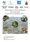 Quelle stratégie de recherche développement pour l'élevage caprin dans la province de Chefchaouen - Maroc ?