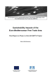 Sustainability impacts of the Euro-Mediterranean free trade area. Final report on phase 2 of the SIA-EMFTA Project