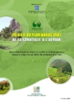 Pilier II du plan Maroc vert : de la stratégie à l'action