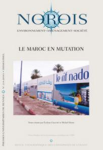 Norois, n. 214 - Janvier 2010 - Le Maroc en mutation