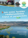 Les zones humides méditerranéennes, enjeux et perspectives : premier rapport technique