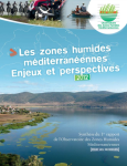Les zones humides méditerranéennes, enjeux et perspectives : synthèse du 1er rapport pour les décideurs