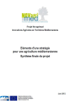 Eléments d'une stratégie pour une agriculture méditerranéenne : synthèse finale du projet