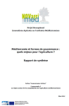 Méditerranée et formes de gouvernance : quels enjeux pour l'agriculture ? Rapport de synthèse