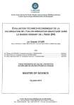 Evaluation technico-économique de la valorisation de l'eau en irrigation gravitaire dans le bassin versant de l'Asse (04)