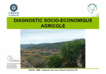 Diagnostic socio-économique agricole : viticulture de coteaux