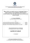 Analyse de la filière oléicole tunisienne dans la zone de production de Zarzis. Stratégies et opportunités pour une amélioration du revenu des oléiculteurs
