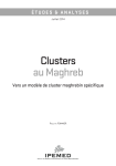 Clusters au Maghreb : vers un modèle de cluster maghrébin spécifique