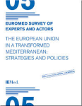 Euromed survey 2013: the European Union in a transformed Mediterranean: strategies and policies