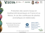Protection des savoirs locaux et biodiversité dynamiques en France et au Maroc, le cas des cueilleuses de plantes aromatiques et médicinales