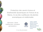 Protection des savoirs locaux et biodiversité dynamiques en France et au Maroc, le cas des cueilleuses de plantes aromatiques et médicinales