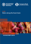 Jordan: water along the food chain