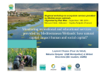 Monitoring recreational and educational services provided by Mediterranean wetlands: how natural capital impact human and social capital?