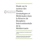 Etude sur le secteur des Plantes Aromatiques et Médicinales dans la réserve de biosphère intercontinentale de la Méditerranée
