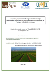 Analyse des projets collectifs de production d’énergies renouvelables portés par des agriculteurs dans les communes de Ploërmel et Pouillé-les-Coteaux
