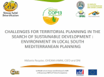 Challenges for territorial planning in the search of sustainable development: environment in local south mediterranean planning