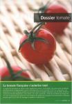 Dossier tomate