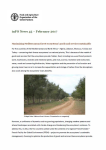News from FAO Forestry: inFO news 45