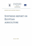 Synthesis report on egyptian agriculture