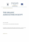 The organic agriculture in Egypt