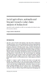 Social agriculture, antimafia and beyond: toward a value chain analysis of Italian food
