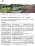 Rainwater harvesting – more than sound water management