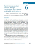 Reinforcing ecosystem services through conservation agriculture in sustainable food systems