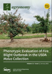 Agronomy, vol. 11, n. 1 - January 2021 - Phenotypic evaluation of fire blight outbreak in the USDA Malus collection