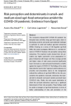 Risk perception and determinants in small- and medium-sized agri-food enterprises amidst the COVID-19 pandemic: evidence from Egypt