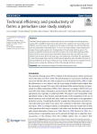 Technical efficiency and productivity of farms: a periurban case study analysis